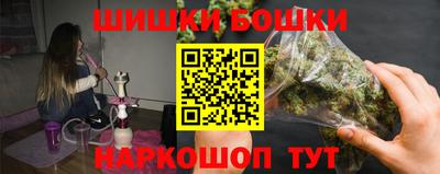 тгк Бийск