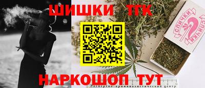 тгк Бийск