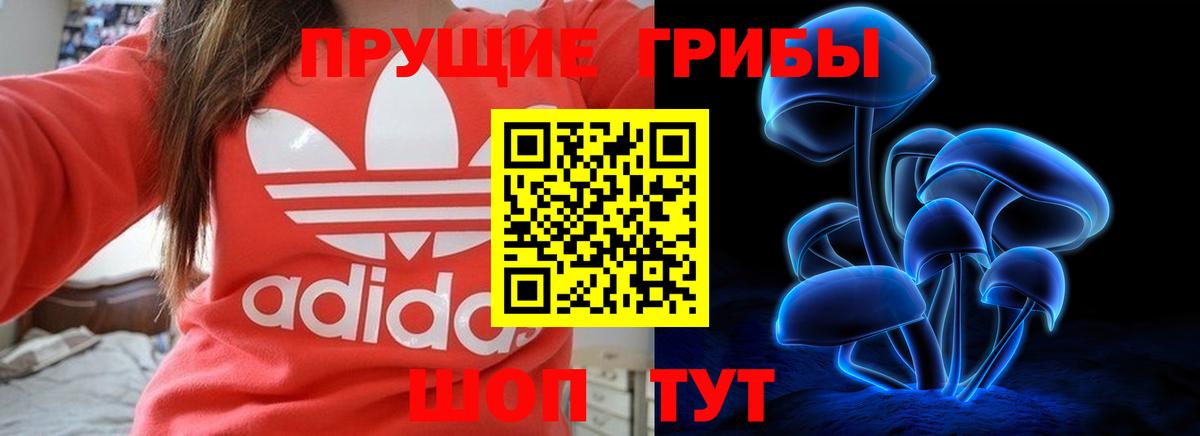 Кизилюрт  Галлюциногенные грибы мицелий  Вход с VPN  Псилоцибиновые грибы Psilocybine cubensis 